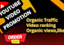 do smart youtube growth views and channel promotion